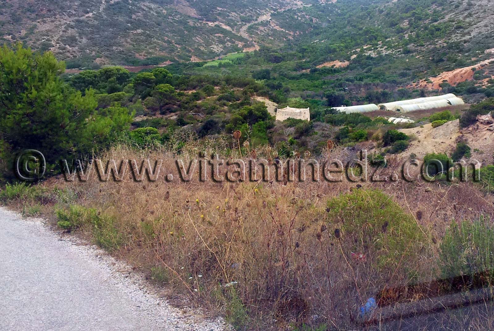 Marabout, sur la route de Agla - Honaïne.