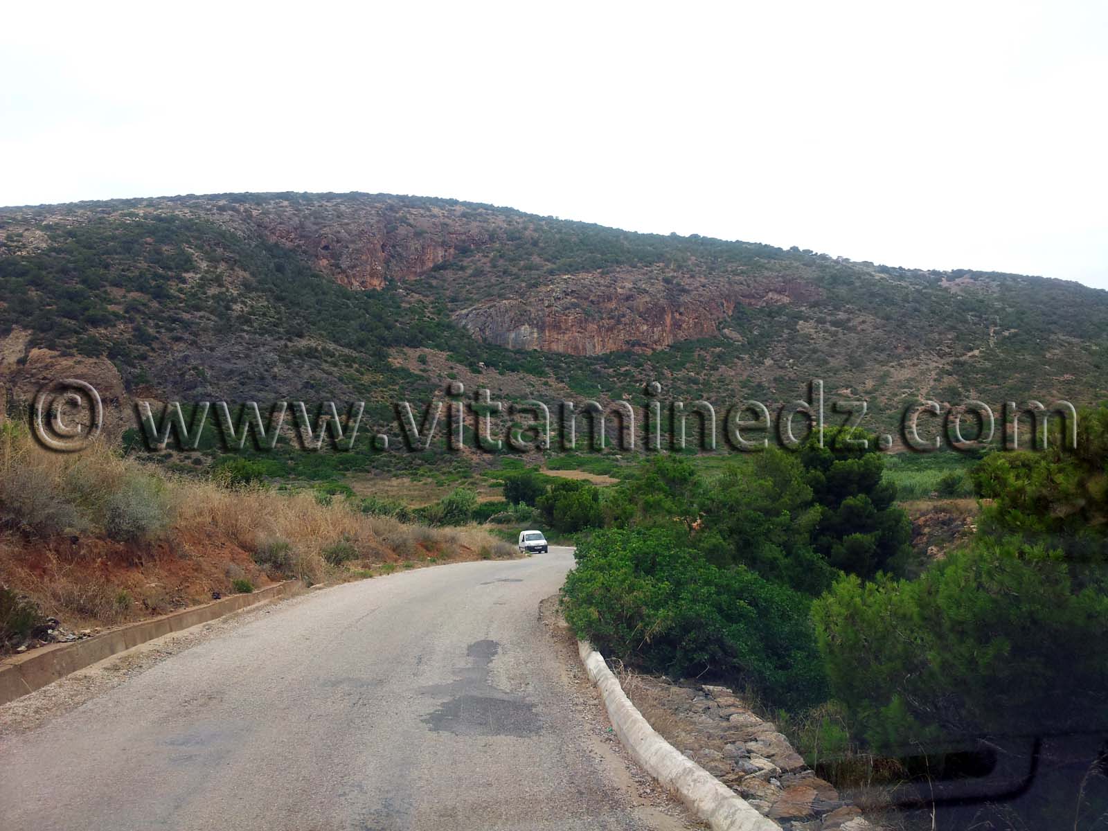 Sur la route de Honaïne.