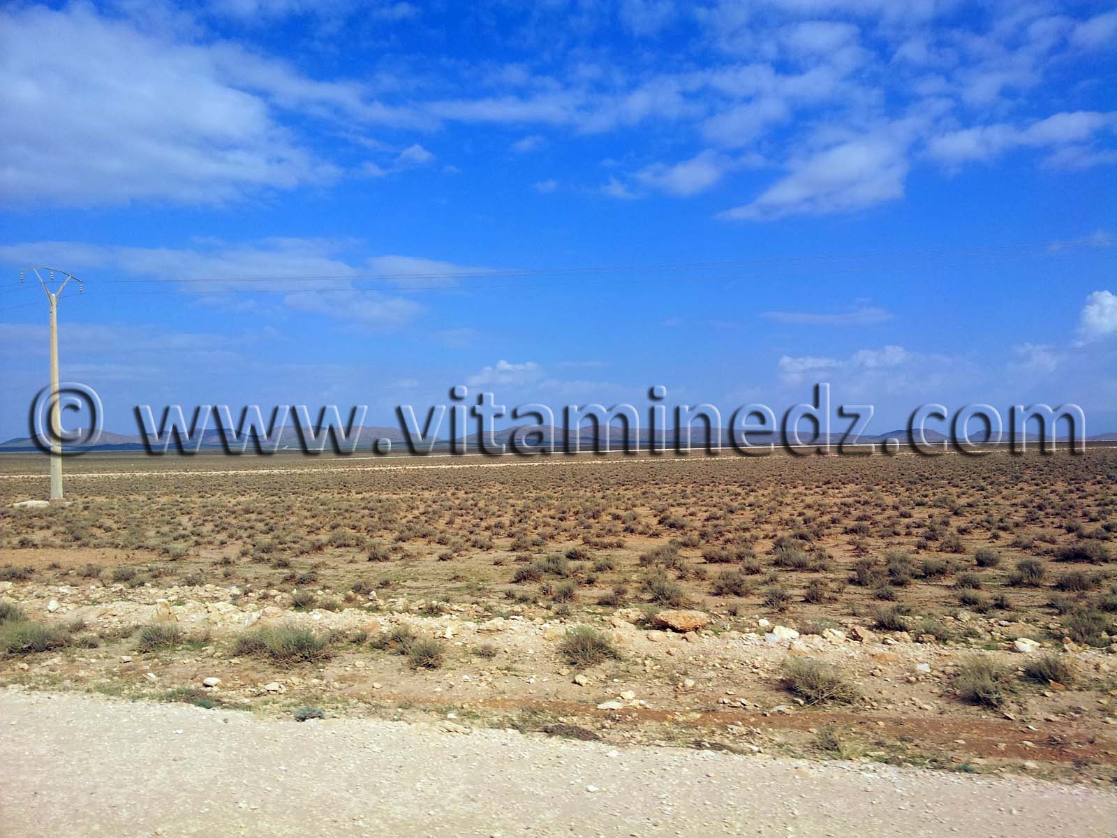 Halfa à Naama, commune de Kasdir, vastes étendues de terres propices à l'élevage de moutons, bovins ...