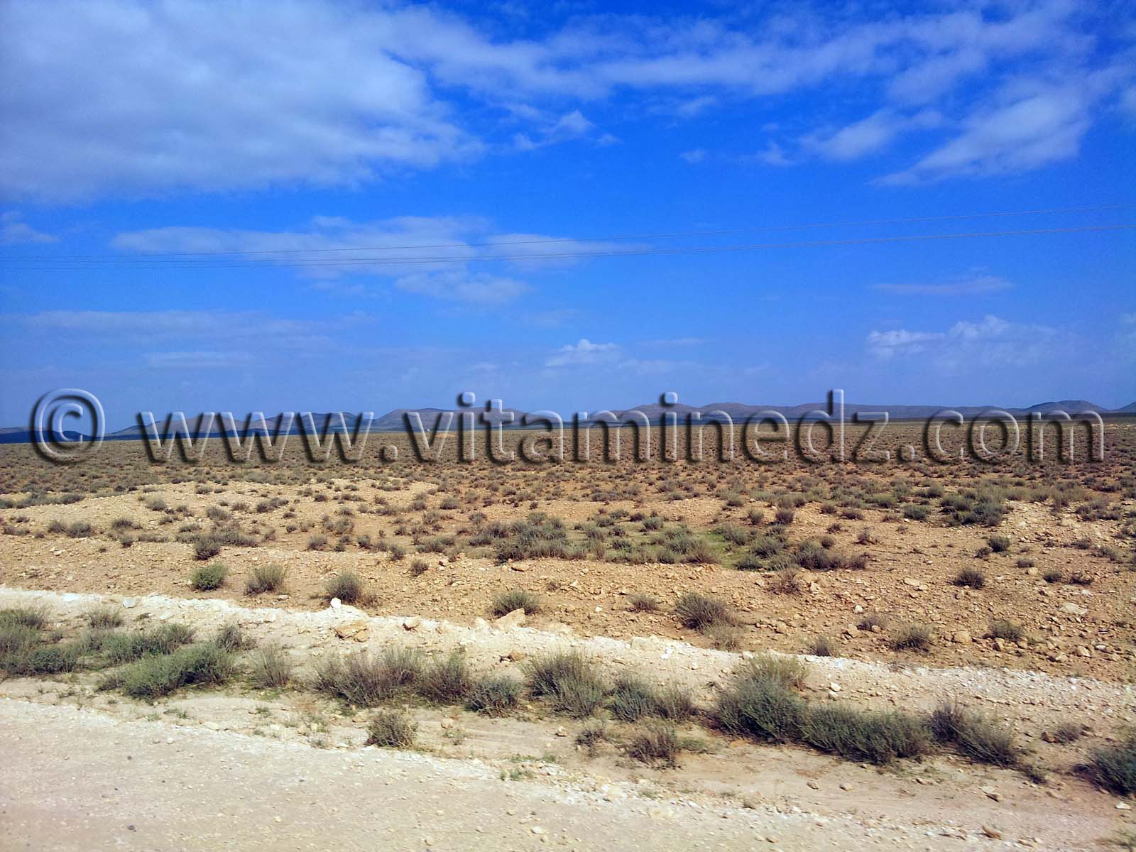 Naama, commune de Kasdir, vastes étendues de terres propices à l'élevage de moutons, bovins ...