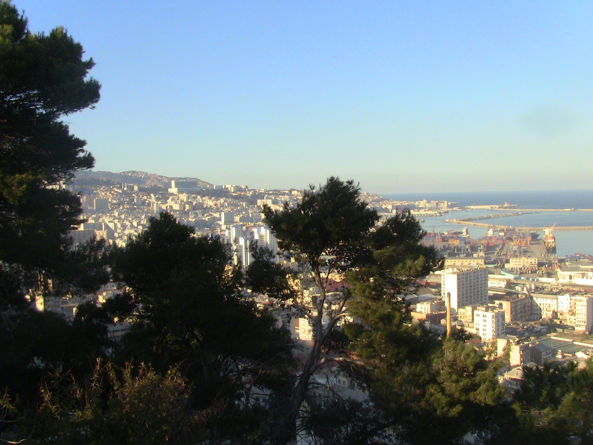 Vue sur Alger
