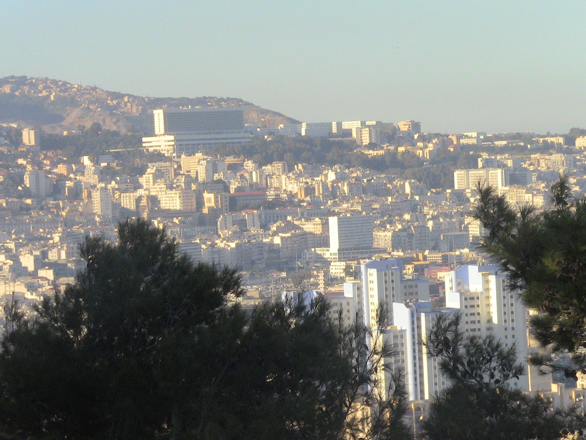 Vue sur Alger