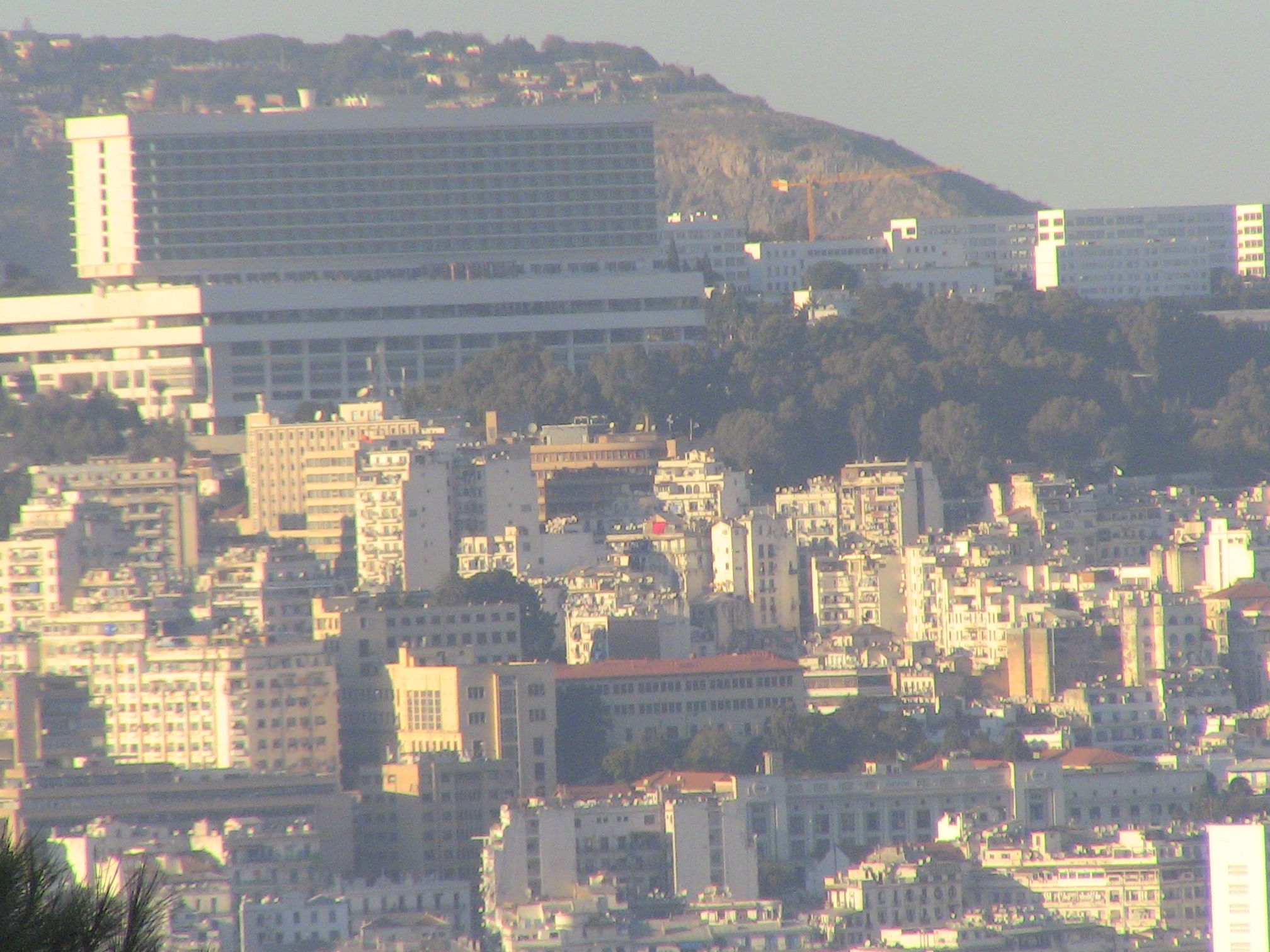 Vue sur Alger