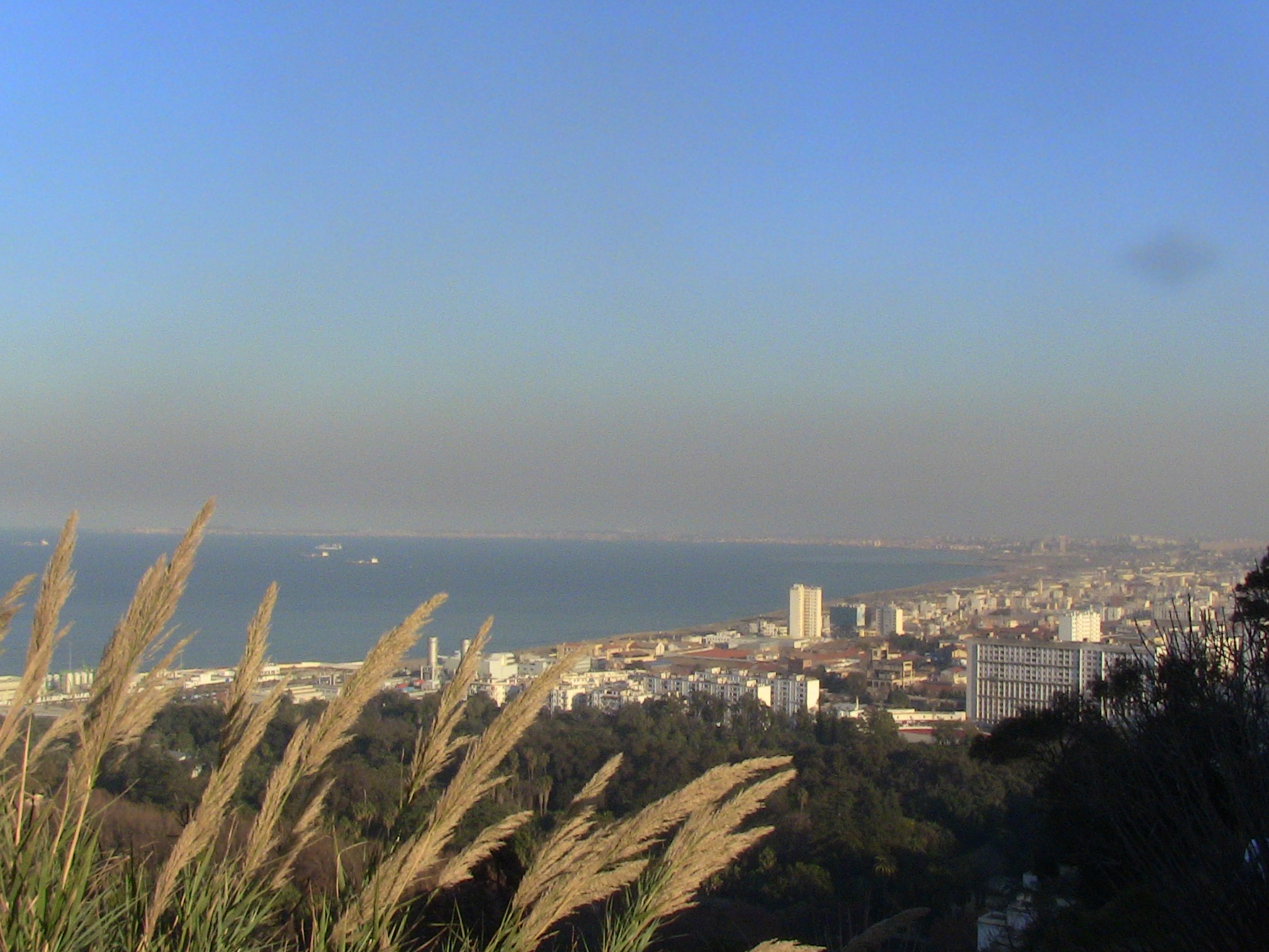 Vue sur Alger