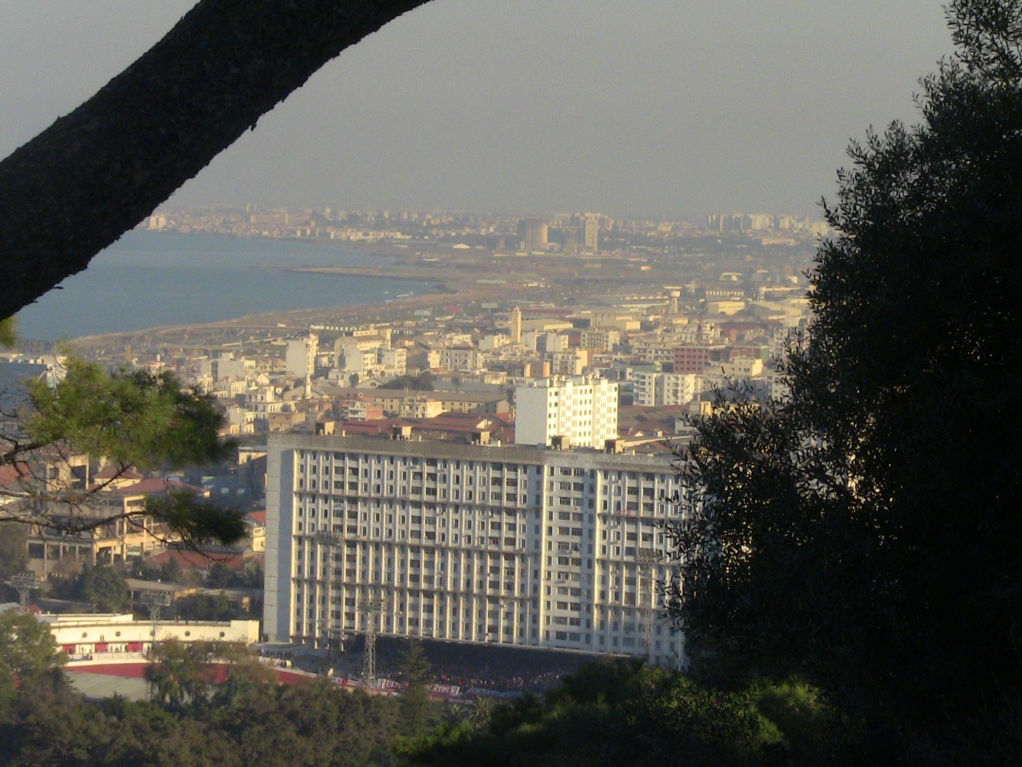 Vue sur Alger