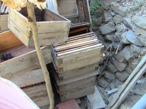 Les Ruches et les Hausses