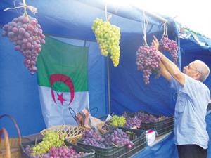 Wilaya de Boumerdès -  Fête des raisins à Sidi Daoud