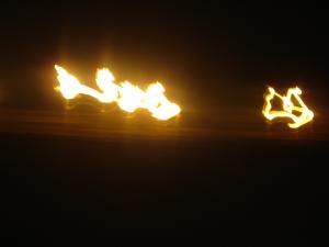 La nature fais bien les choses