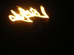 La nature fais bien les choses