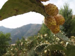 Ighil igoulmimène thikirmoussines ,