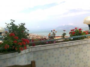 BEJAIA