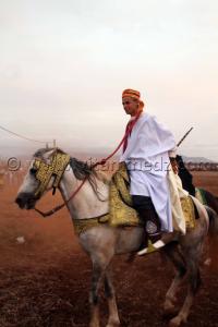 Cavalier arabe - Waada d\'El M\'dedha à Sidi Weriache, Wilaya de Ain Temouchent