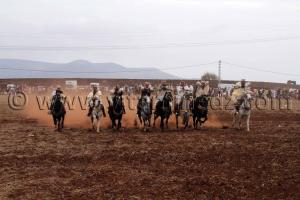 Fantasia- Waada d\'El M\'dedha à Sidi Weriache, Wilaya de Ain Temouchent