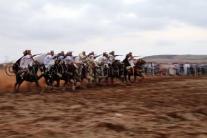 Fantasia arabe - Waada d\'El M\'dedha à Sidi Weriache, Wilaya de Ain Temouchent