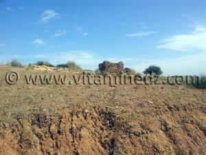 Marabout à coté  d\'El M\'dedha à Sidi Weriache, Wilaya de Ain Temouchent