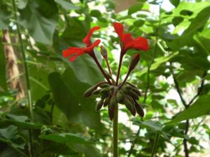 مناظر مطلة على مدينة تمنراست