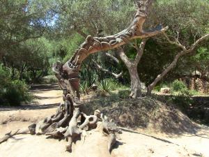 La Sculpture de Djelloul dans le musée a ciel ouvert de Tipaza.