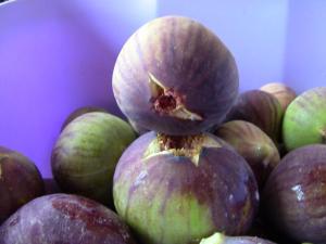 Les figues Fraîche.