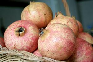 Mostaganem - Agriculture: Les forestiers relancent le grenadier local
