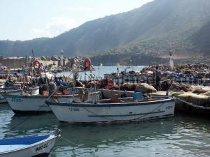 Jijel - Photos Ziama Mansouriah, Port de pêche Septembre 2005