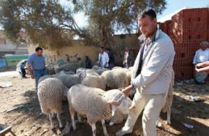 Aïd-El-Adha: La joie des enfants