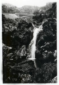 Photo ancienne des cascades de Tlemcen