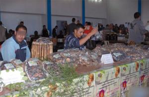 11e édition de la fête de la figue de Beni Maouche: Un symbole de la région