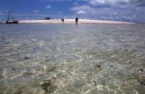 Planète - Un habitant des Kiribati demande le statut de réfugié climatique