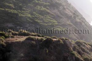 Falaises Plage de Sidi Ali près de Beni Saf, commune de Sidi Safi, Wilaya Ain Temouchent