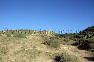 Montagne de Sidi Ali près de Beni Saf, commune de Sidi Safi, Wilaya Ain Temouchent