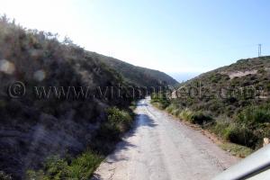 Route vers Plage de Sidi Ali près de Beni Saf, commune de Sidi Safi, Wilaya Ain Temouchent