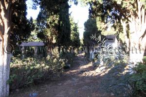 Cimetière chrétien de Beni Saf (W. Aïn Temouchent)