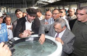 Le ministre de la Pêche et des ressources halieutiques à Skikda: La ferme-pilote d’élevage de crevettes d’El Marsa une réussite