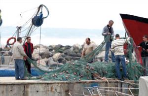 Algérie - Développement de la pêche artisanale: Le PNUD s’implique