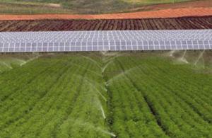 Algérie - Epuration des Eaux usées: 1,4 million de m3 en 2014