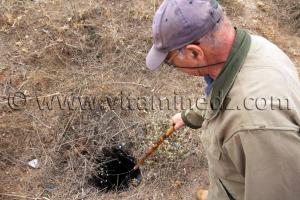 Tlemcen, El Mefrouche  Site pré-historique inexploré, trous creusés ou naturels servant de réservoirs de grains.