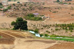 Village d\'El Mefrouche, champs de céréales