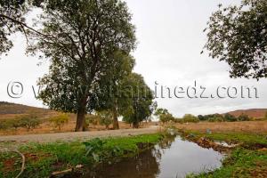 Petit cours d\'eau provenant du barrage de Mefrouche