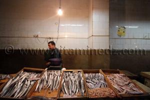 Poissonerie du Marché de Tlemcen