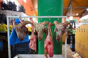 Viandes, Abats, têtes de mouton, au marché de Tlemcen
