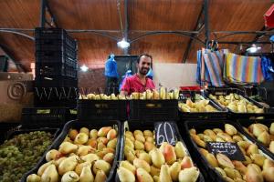 Fruits de saison au marché de Tlemcen