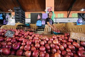 L\'oignon, roi de la cuisine tlemcenienne ...