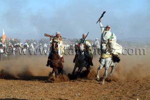 Fantasia, braves sont ces cavaliers à Waadat Ain Larbaa, wilaya d\'Ain Temouchent