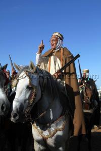 Vieux cavalier, toujours en forme à Waadat Ain Larbaa, wilaya d\'Ain Temouchent