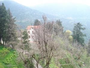 Le site de Chréa Blida