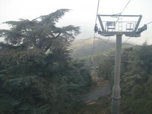 Le site de Chréa Blida