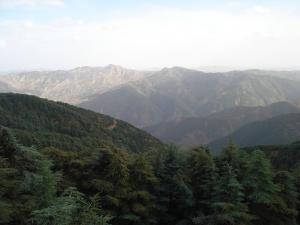 Le site de Chréa Blida