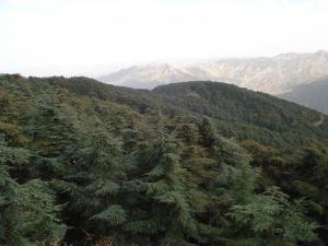 Le site de Chréa Blida