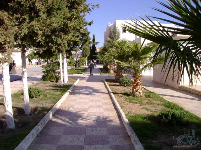 جامعة محمد بوضياف المسيلة