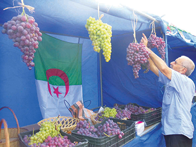 Wilaya de Boumerdès - Fête des raisins à Sidi Daoud